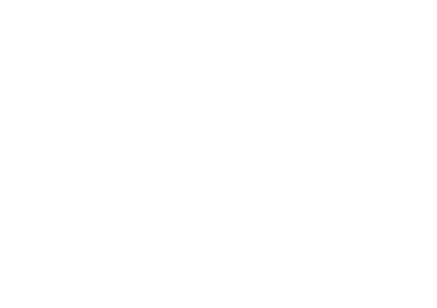 CRS Celik-Reinigungsservice
